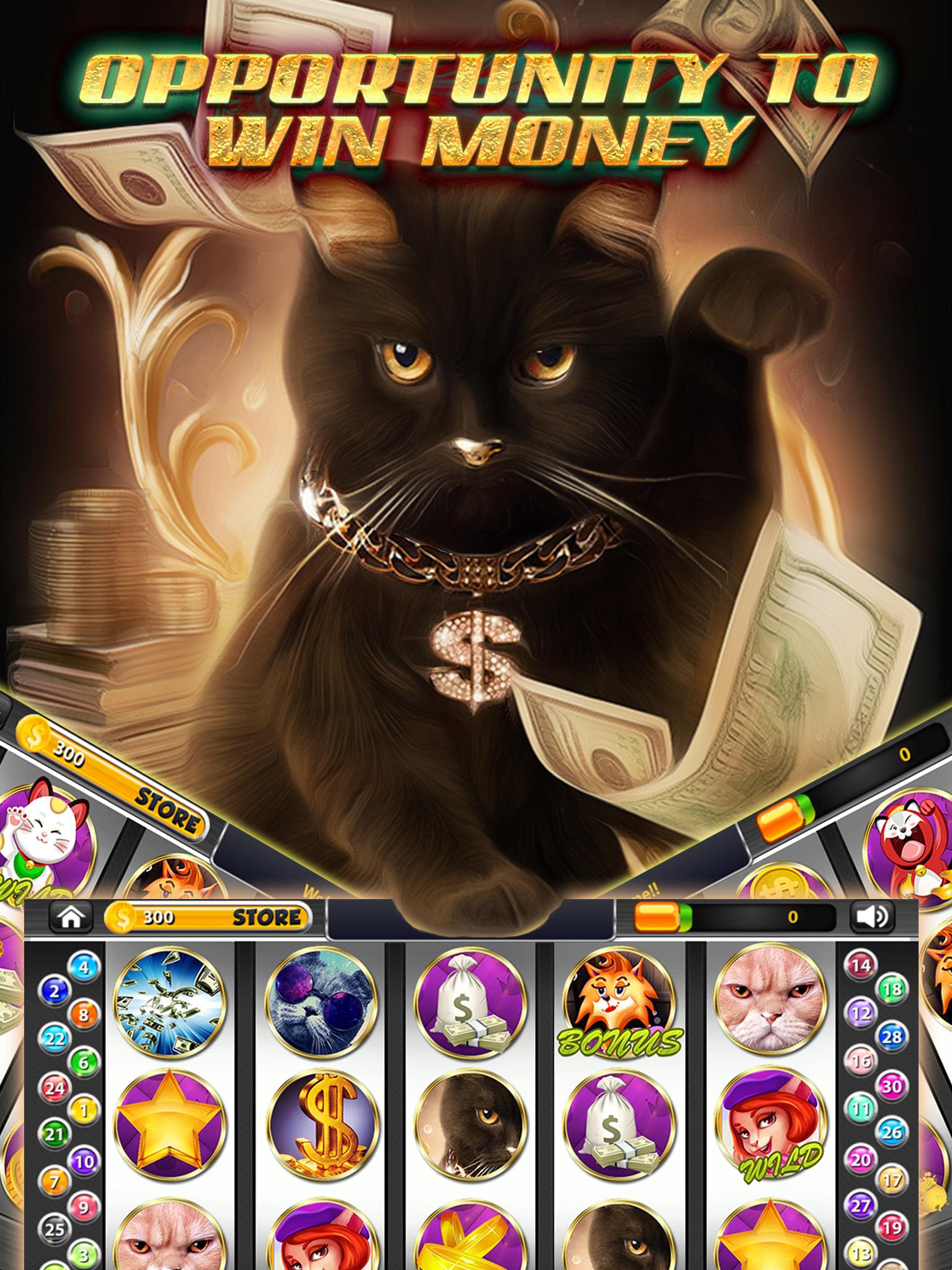 Сайт cat casino cat official casinos pw