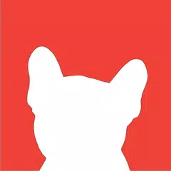 SlotDawg APK download