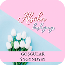 AKSAHER - GOŞGULAR ÝYGYNDYSY APK