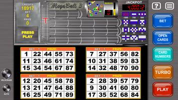 Video Bingo Mega Ball Flex โปสเตอร์