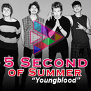 5 Second of summer APK