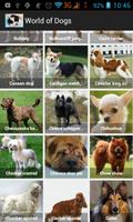 World of Dogs ภาพหน้าจอ 1