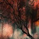 Wallpapers forest Walls hd APK
