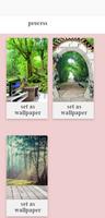 Wallpapers forest Walls hd screenshot 1
