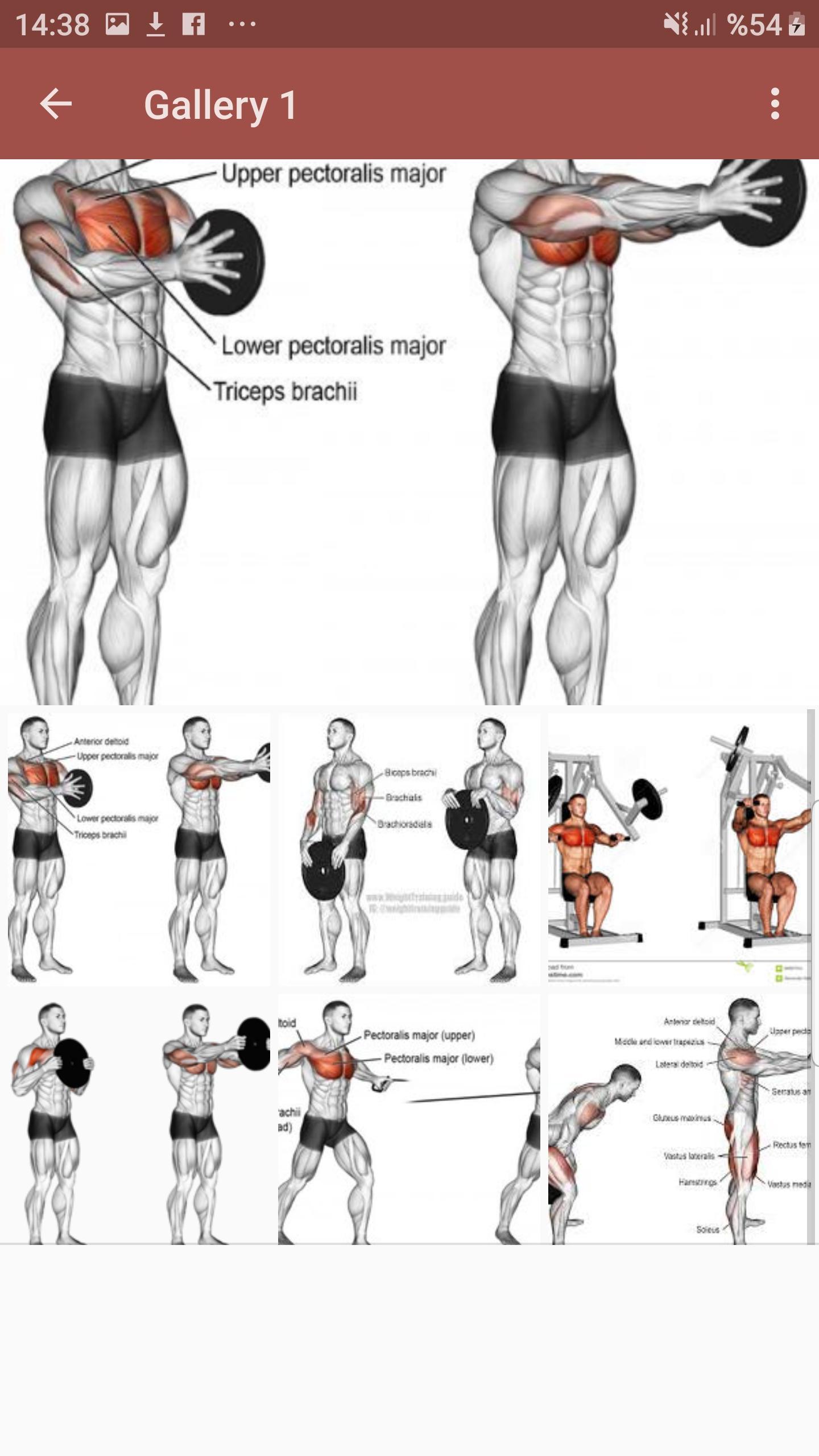 Gimnasio De Rutina En El Pecho for Android - APK Download