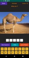 Animal Quiz Screenshot 1