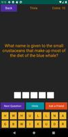Animal Quiz Screenshot 2