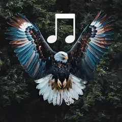 Animal and bird sounds XAPK download