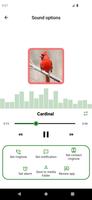 Hayvan ve kuş sesleri Ekran Görüntüsü 2