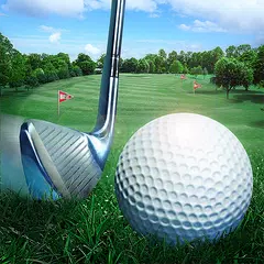 Golf Master 3D XAPK 下載