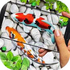 Fish Live wallpaper 2019: 3D Aquarium Koi Pond アプリダウンロード