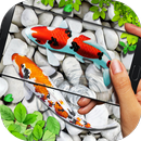 Fish Live wallpaper 2019: 3D Aquarium Koi Pond APK