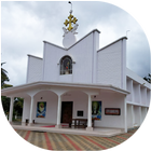BVM Lourdes Church Kanchiyar ícone