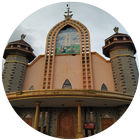 FATHIMA MATHA CHURCH, ARYAPARAMBA icône
