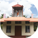 Little Flower Church Puliyarai APK