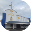 Lourdes matha church, KAVUMMANNAM APK