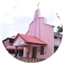 St. Chavara Kuriakose Elias Church Puthiyidomkunnu APK