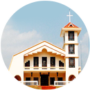 ST. ALPHONSA CHURCH, Dwaraka APK