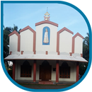 ST. GEORGE CHURCH MEKKARAI APK