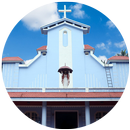 ST. SEBASTIANS CHURCH PARALIKUNNU APK