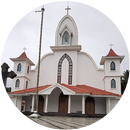 ST. THOMAS CHURCH ARATTUTHARA APK