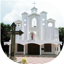 ST. THOMAS CHURCH PALEMAD APK