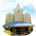 Sacred Heart Church Pallikonam icône