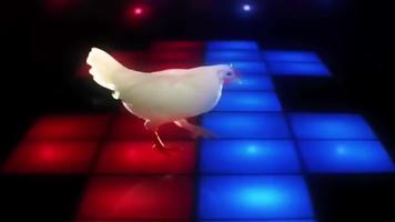 رقصة الدجاج مضحك الملصق