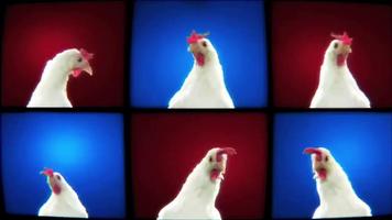 Funny Chicken Dance screenshot 1