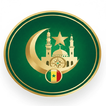 Julli icon