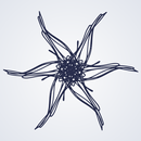 Rosette and Words APK