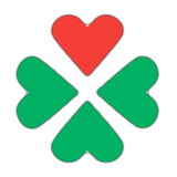 STV আইকন