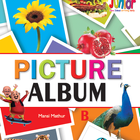 Picture Album B icône