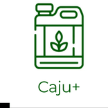 Caju+