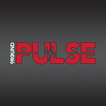 9Round Pulse