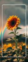Sunflower Wallpapers 4K - HD 截图 1