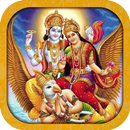 Shriman Narayan Dhun APK