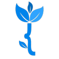 Practical Bracket:Learn Python