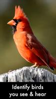 Smart Bird ID bài đăng