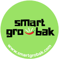 Smart Grobak