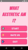 What Aesthetic Am I? Affiche