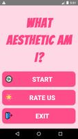 What Aesthetic Am I? poster