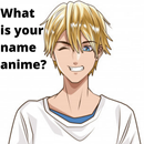 What is Your Name Anime? APK