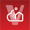 Vestel Smart Life APK