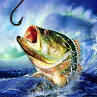 Fishing Champion icône