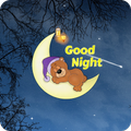 Good Night Greeting Wishes