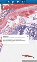 smart Histology Lite تصوير الشاشة 3