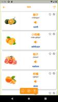 चीनी शब्दावली स्क्रीनशॉट 2