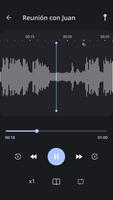 Notas de Voz captura de pantalla 1