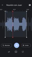 Notas de Voz captura de pantalla 2